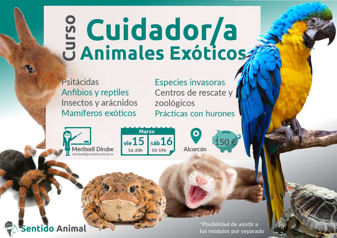 Cuidador de animales exóticos