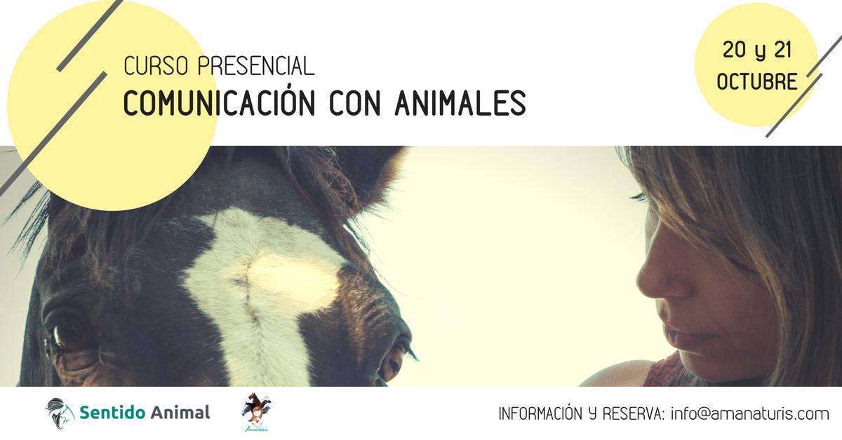 Curso de Comunicación animal