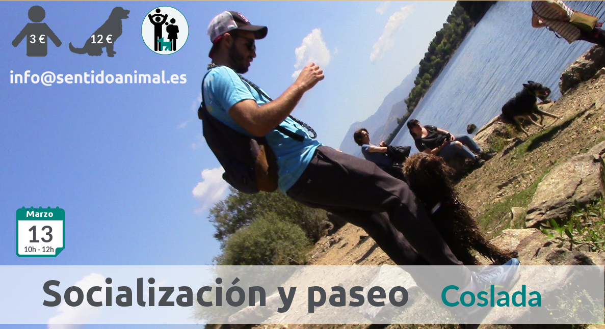 2019-03-13_Coslada salida de socialización canina