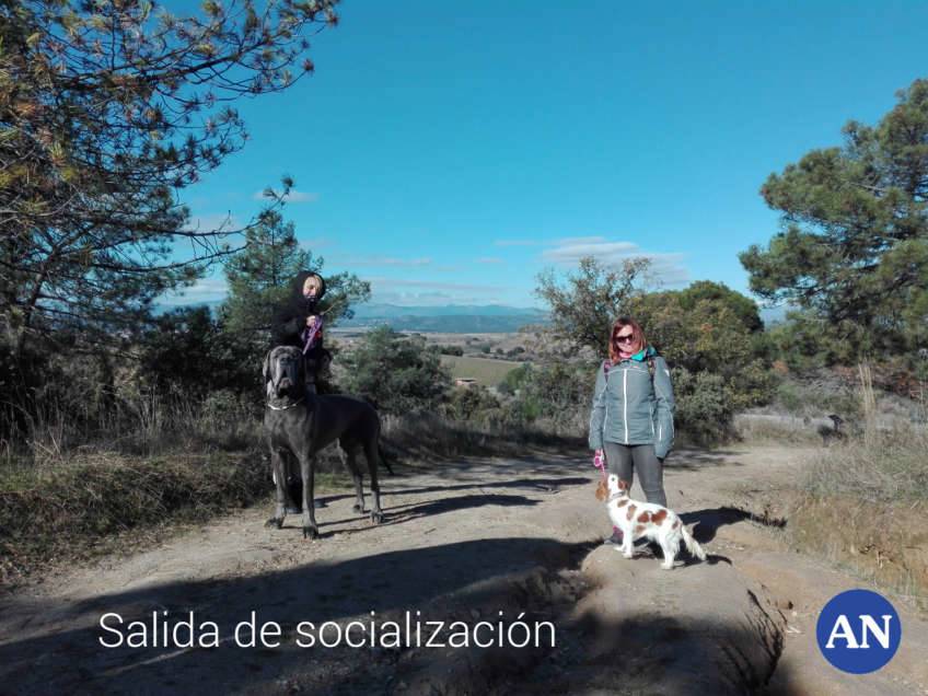 Salida de socialización canina 18 diciembre 2016. Animal Nature - Miriam Sainz