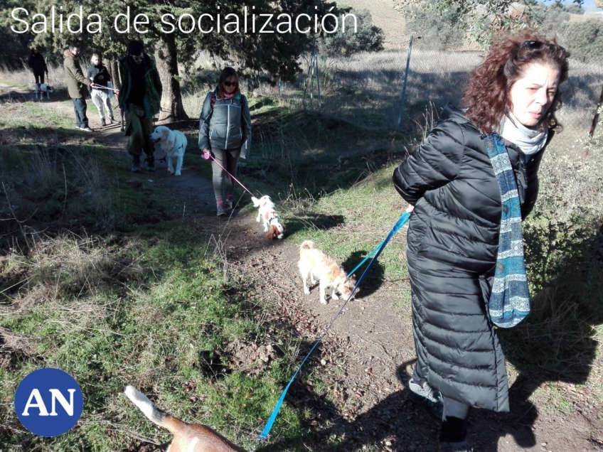 Salida de socialización canina 18 diciembre 2016. Animal Nature - Miriam Sainz