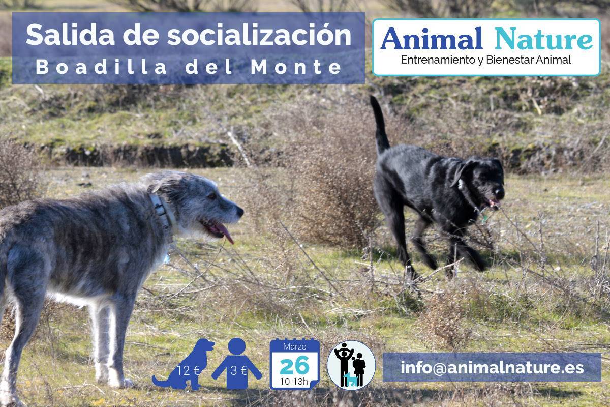 2017-03-26_Socialización