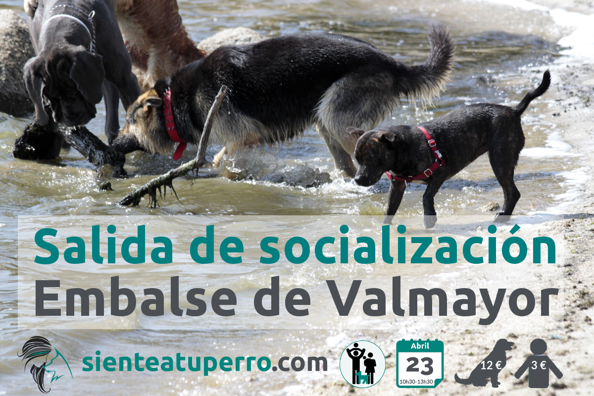 Salida de socialización en Valmayor
