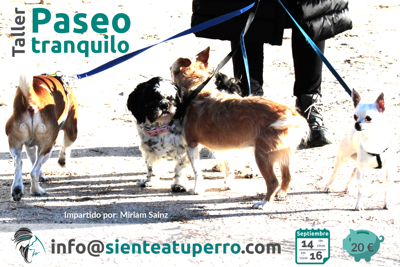 Taller: paseo tranquilo