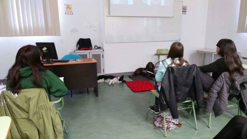 Intervenciones asistidas con animales como alternativa psicoeducativa - Universidad Complutense de Madrid