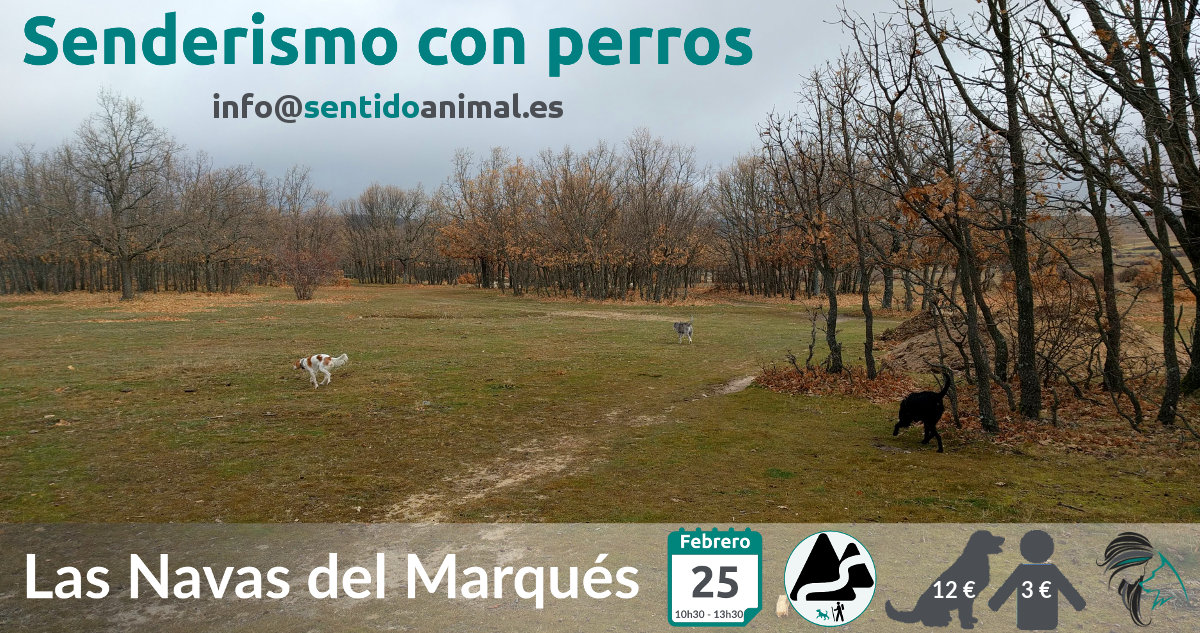 2018-24-02 - Senderismo con perros en Las Navas del Marqués