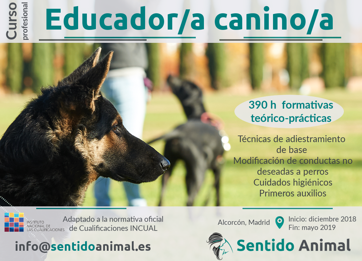 Curso-profesional_Educador-Canino_2018-19 - Escuela Sentido Animal