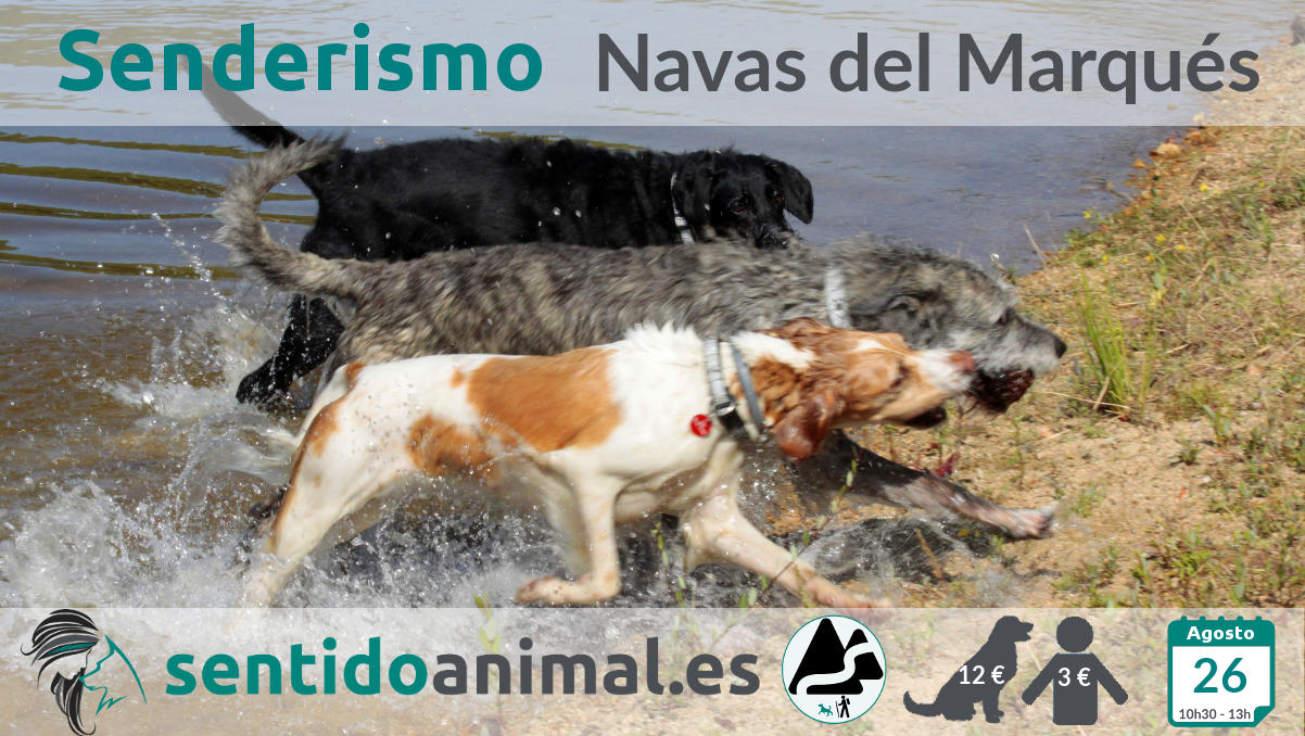 Senderismo con perros - Las Navas del Marqués, Ávila