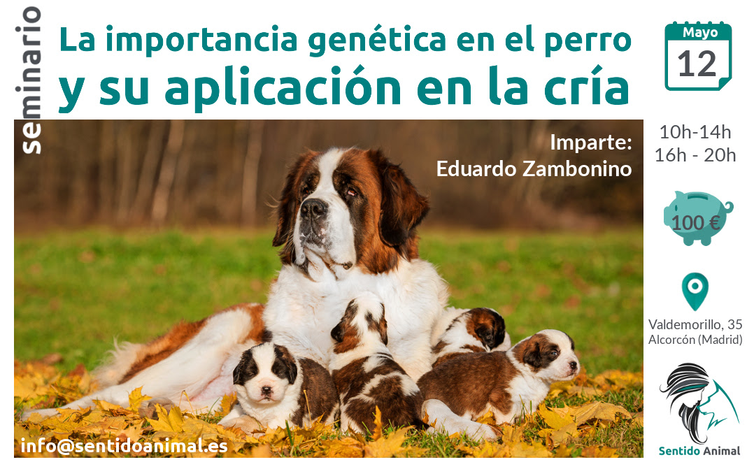 La importancia genética en el perro y su aplicación en la cría