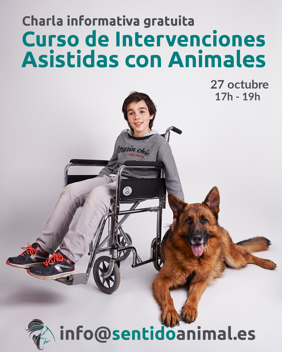 Charla informativa gratuita del curso de Intervenciones Asistidas con Animales