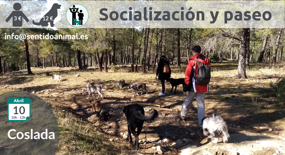 Socialización canina y paseo miércoles – abril 2019