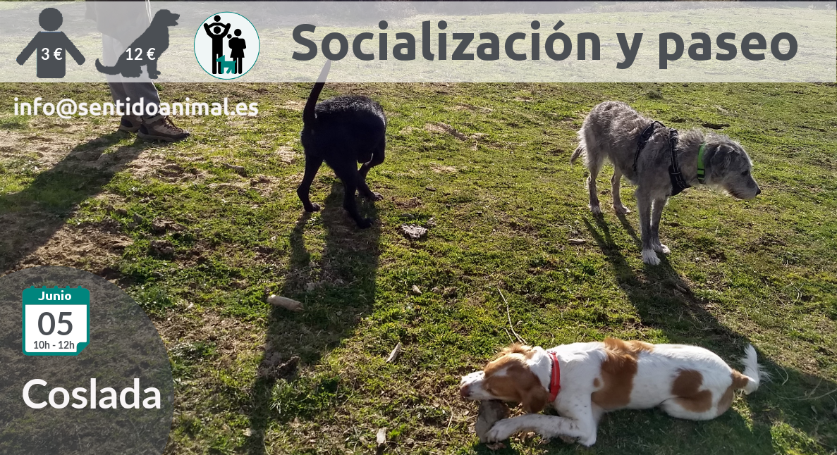 Socialización canina y paseo miércoles – mayo 2019