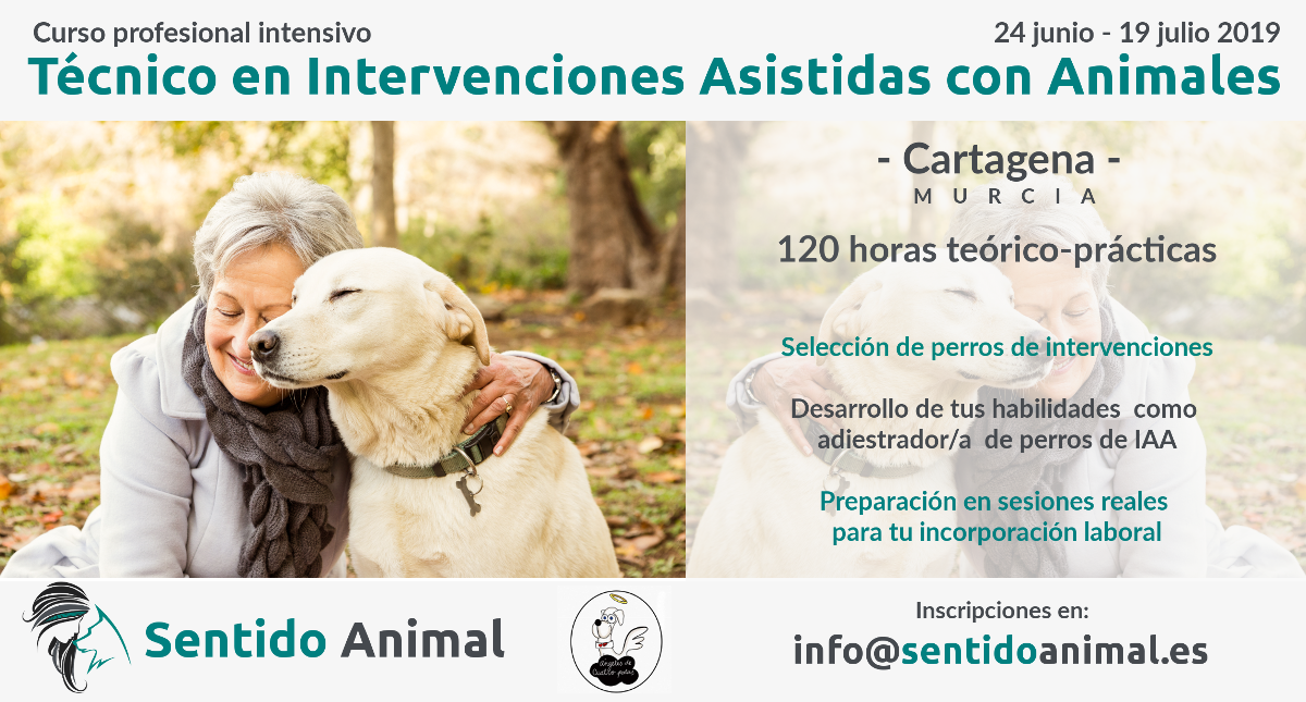 Curso intensivo de técnico en intervenciones asistidas con animales – Cartagena 2019