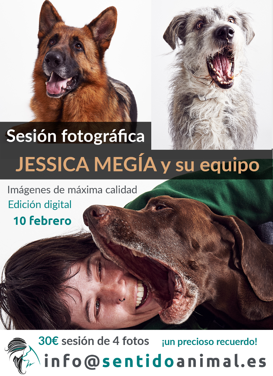 sesion fotográfica de perros y animales febrero19