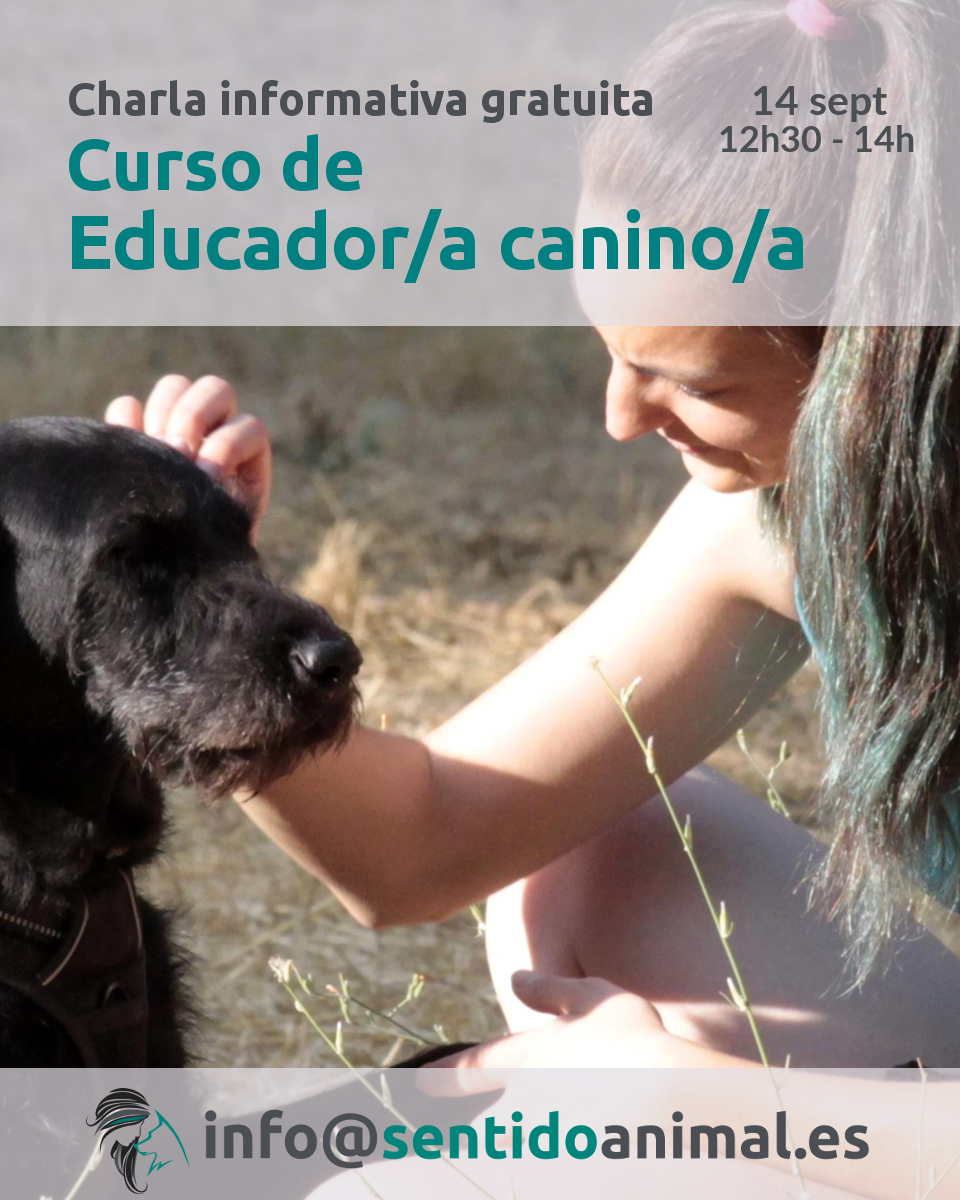 Charla informativa gratuita del curso de Educador/a canino/a