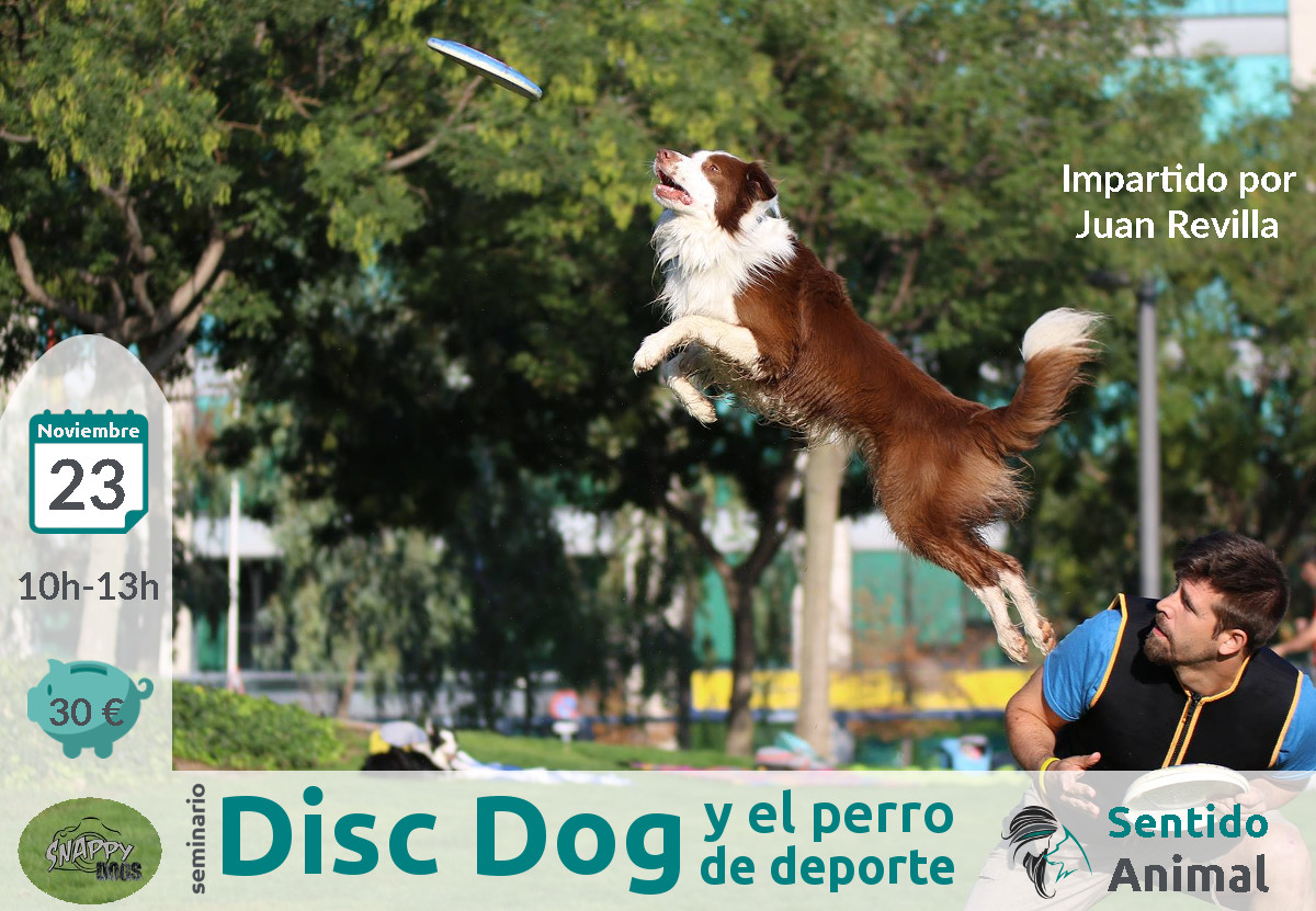 Seminario: Disc Dog y el perro de deporte
