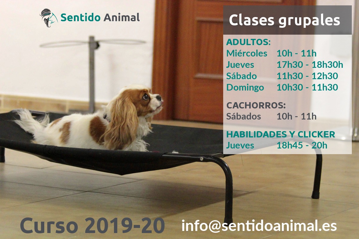 Clases grupales 2019-2020