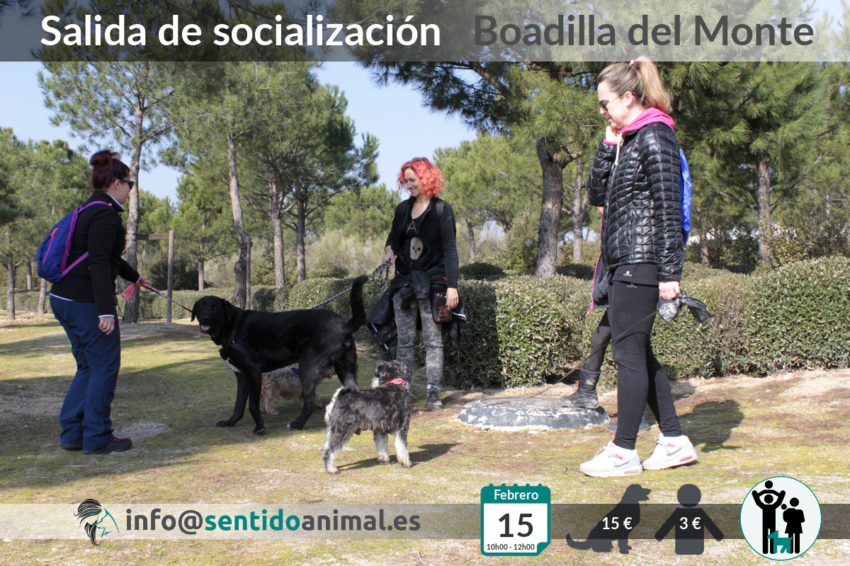 Socialización canina y paseo mañana – febrero 2020