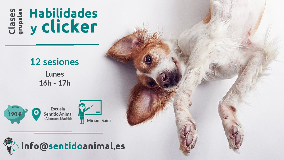 Habilidades y clicker_curso de educación canina