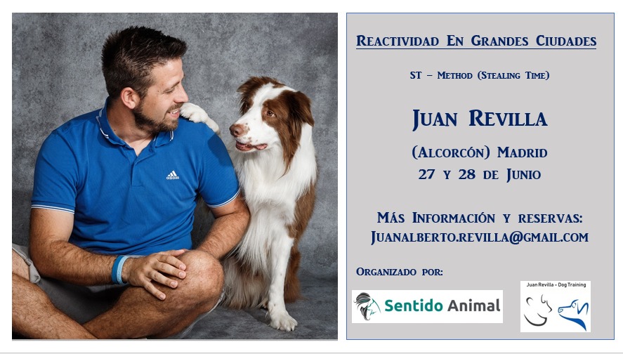 Reactividad en grandes Ciudades - junio2020