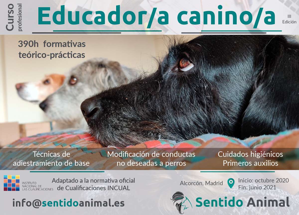 Curs profesional de educador/a Canino/a - 3ª edición