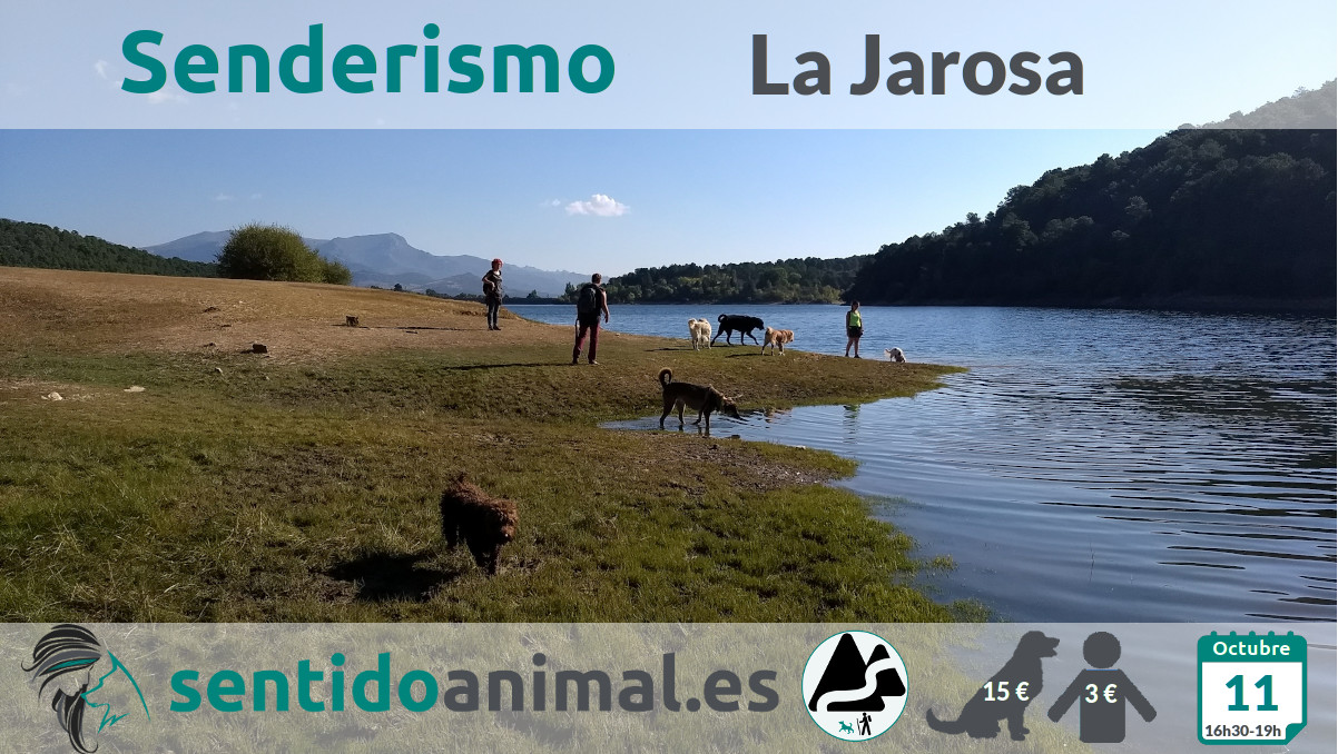 Senderismo con perros en Guadarrama - Madrid