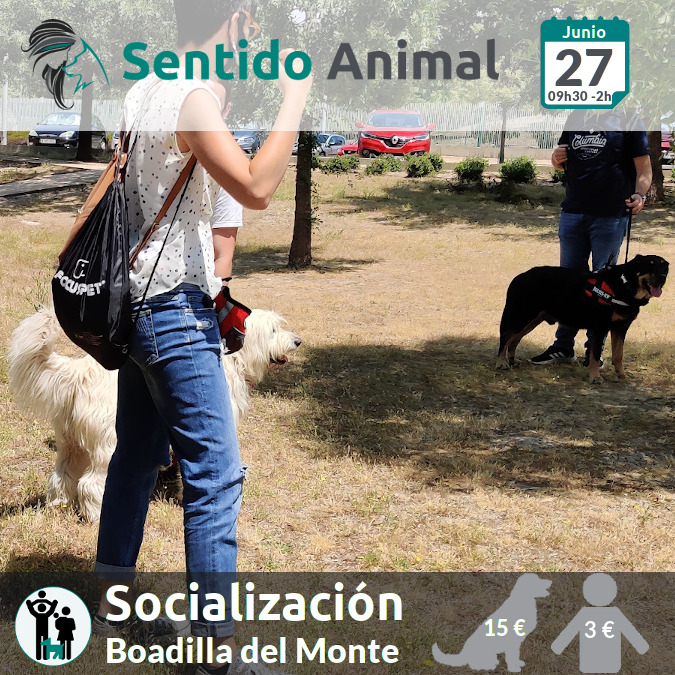 Socialización canina y paseo – domingo junio 2021