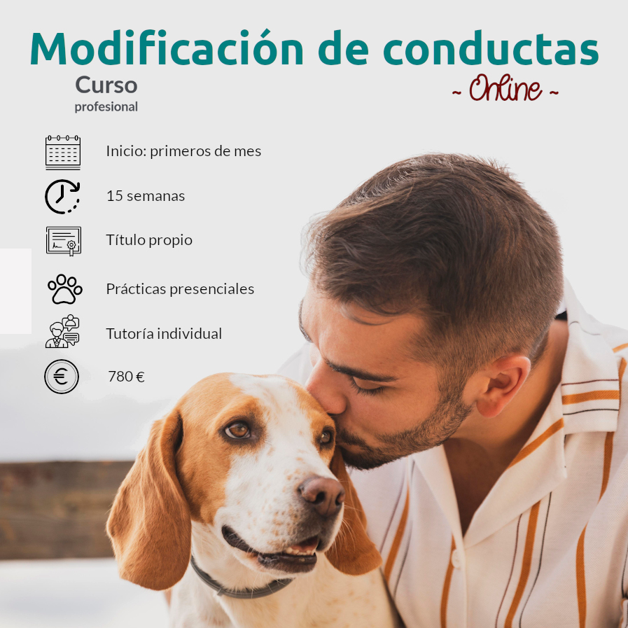 Curso profesional de Modificación de Conducta Canina