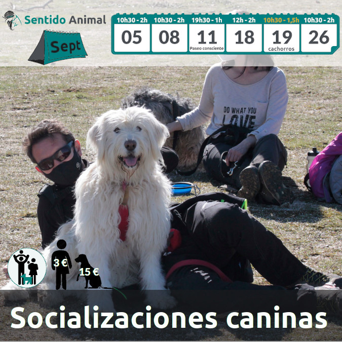 Socialización cachorros – septiembre 2021