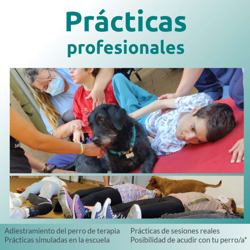 Prácticas profesionales-IAA