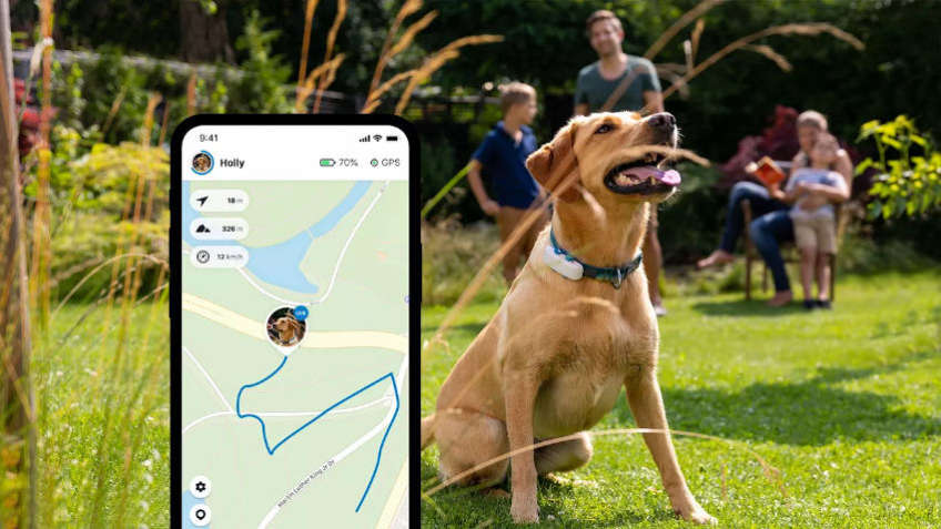 Dog trackers: mejores collares GPS para perros | Sentido