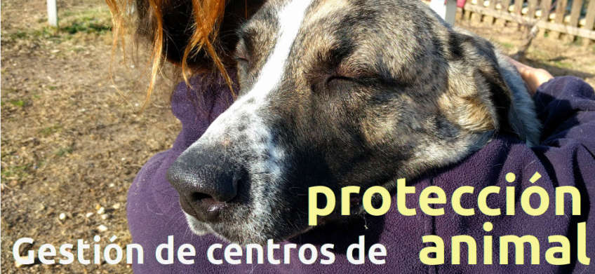 Gestion de centros de protección animal