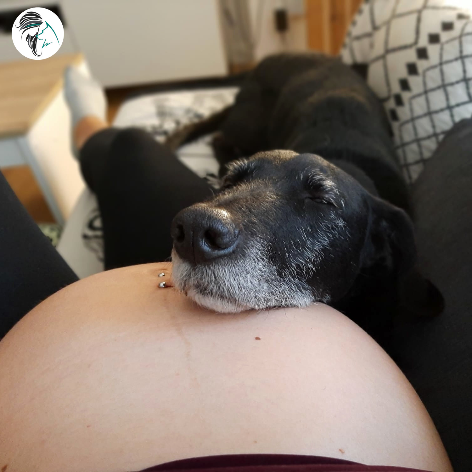 Perro folla a su dueña