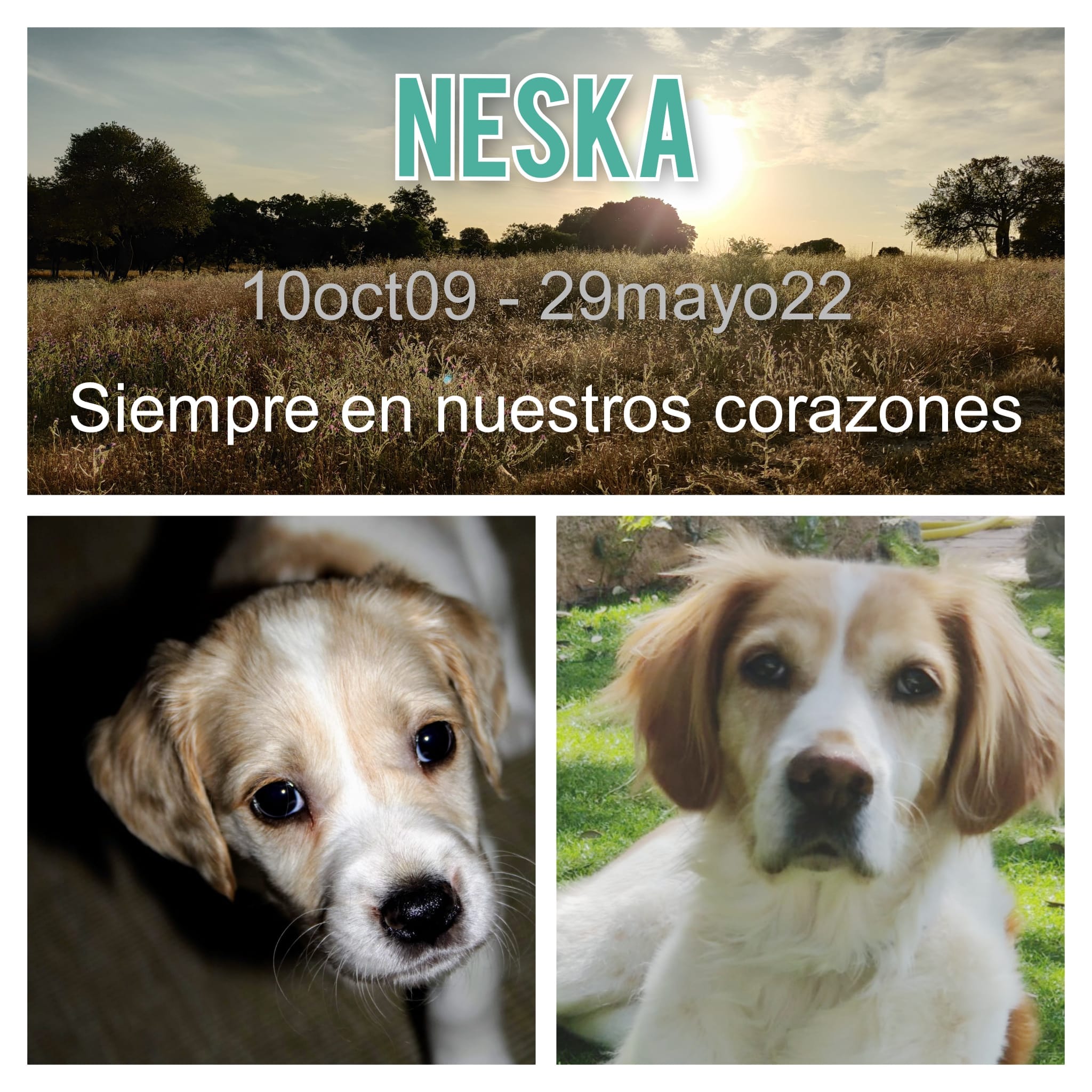 Hasta pronto, Neska