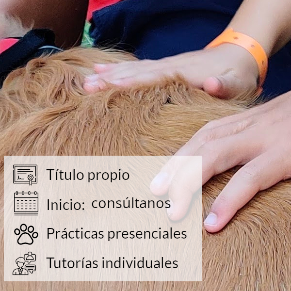PASIÓN POR LOS ANIMALES, VOCACIÓN POR EL ENTRENAMIENTO Y EL BIENESTAR ANIMAL