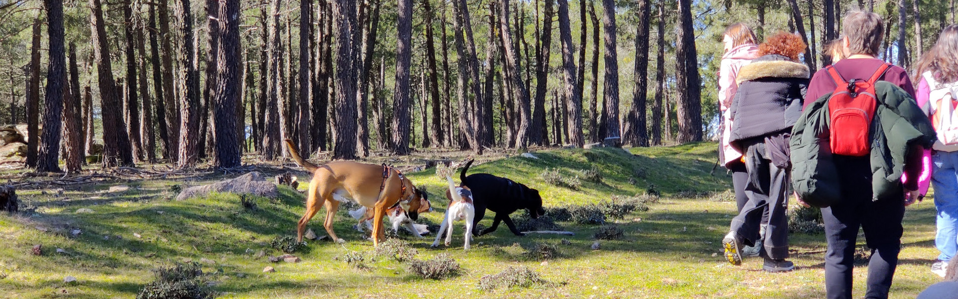 PASIÓN POR LOS ANIMALES, VOCACIÓN POR EL ENTRENAMIENTO Y EL BIENESTAR ANIMAL