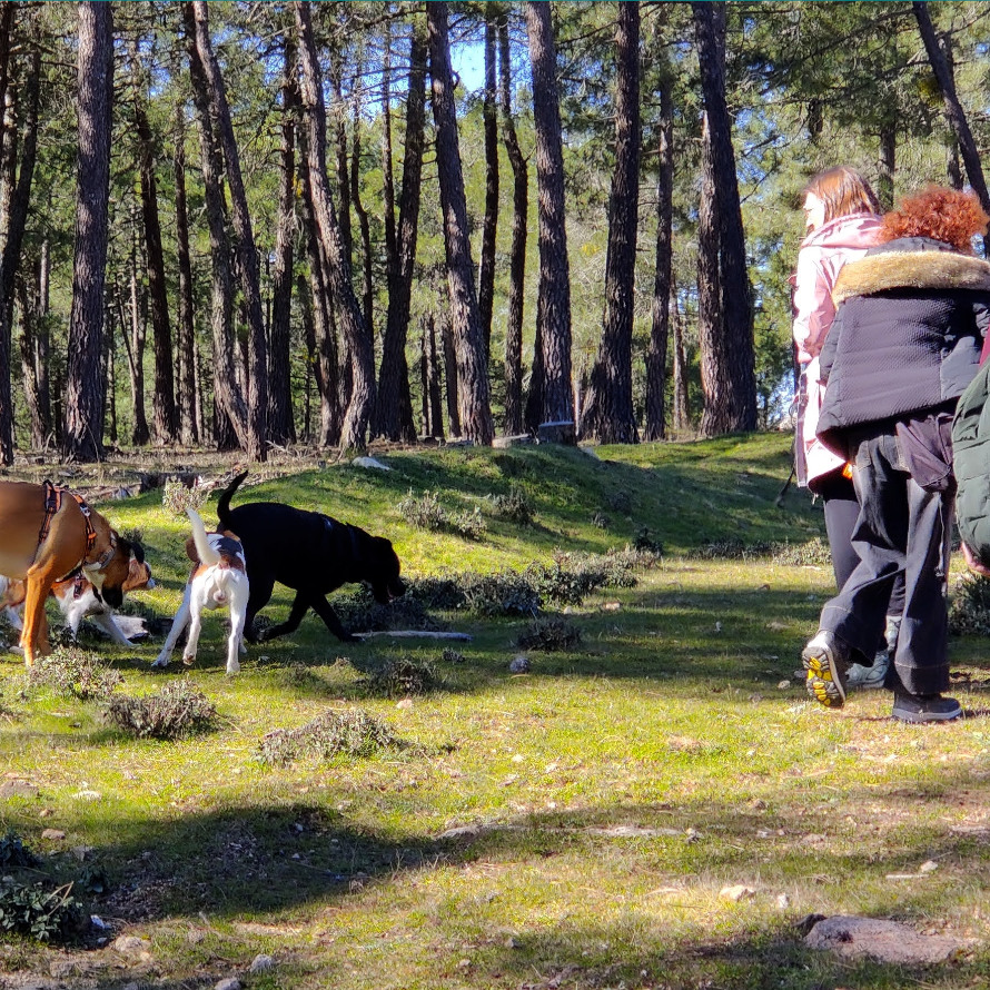 PASIÓN POR LOS ANIMALES, VOCACIÓN POR EL ENTRENAMIENTO Y EL BIENESTAR ANIMAL