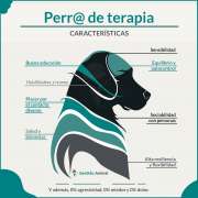 Características de la perra o perro de terapia