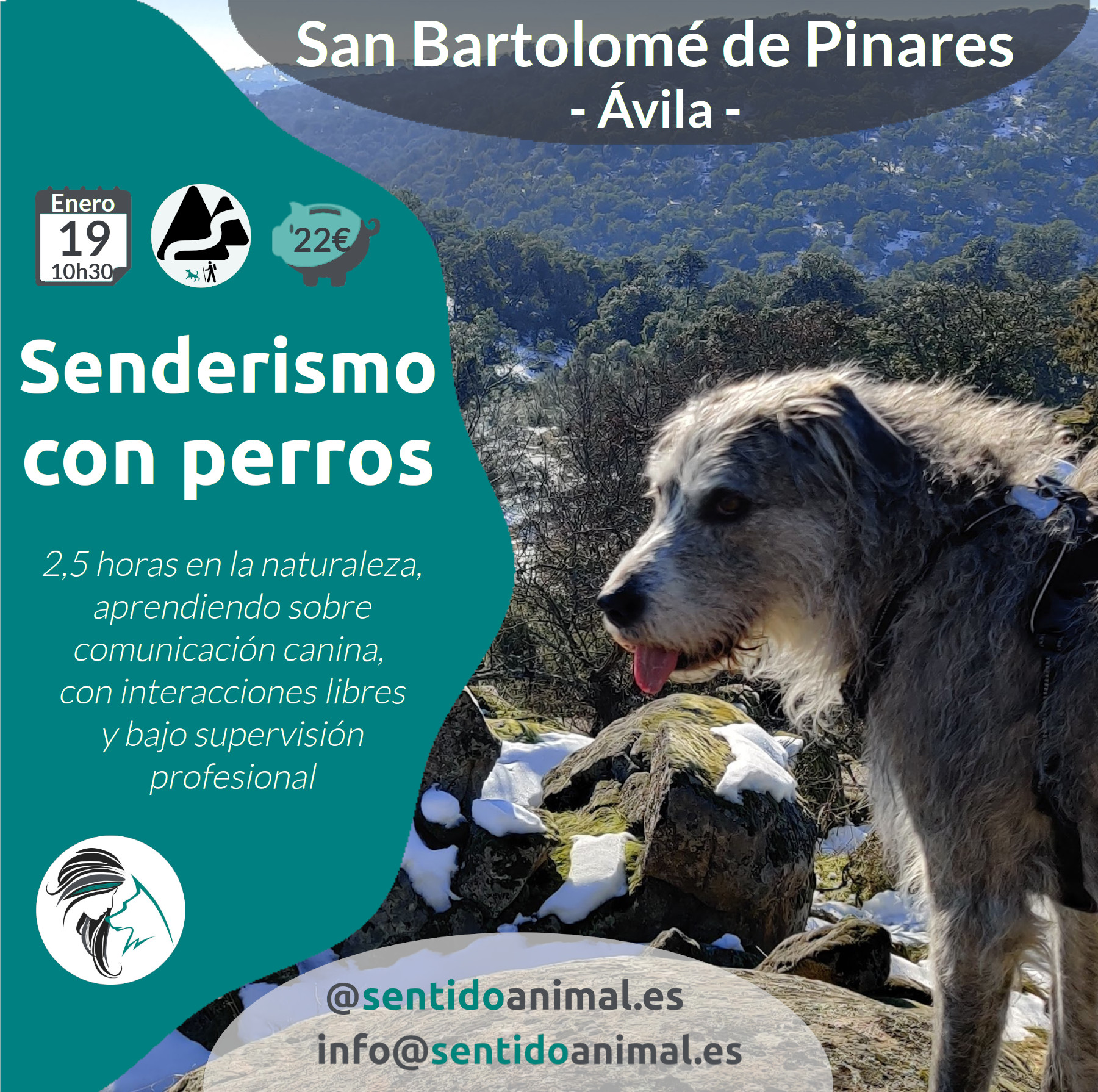 cartel de senderismo con perros_San-Bartolomé de Pinares - perro en la montaña con algo de nieve