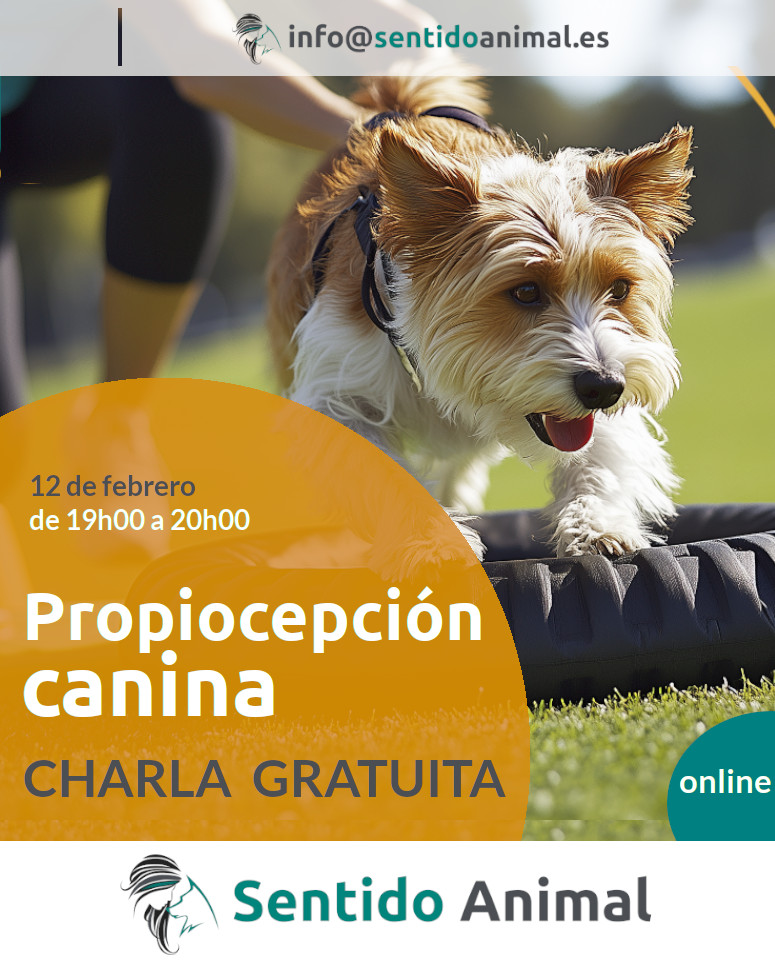 Charla gratuita de propiocepción canina